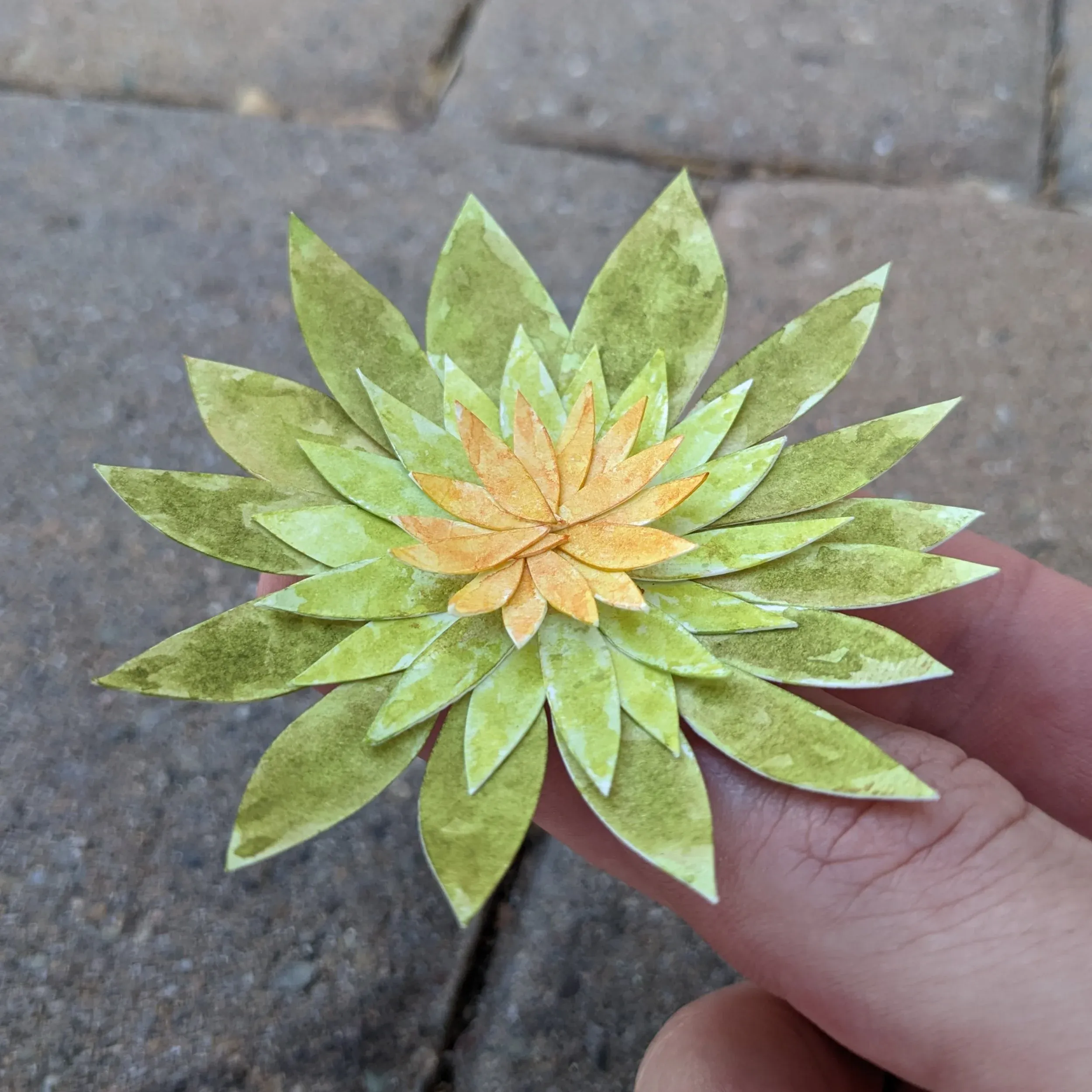 36. Water Lily